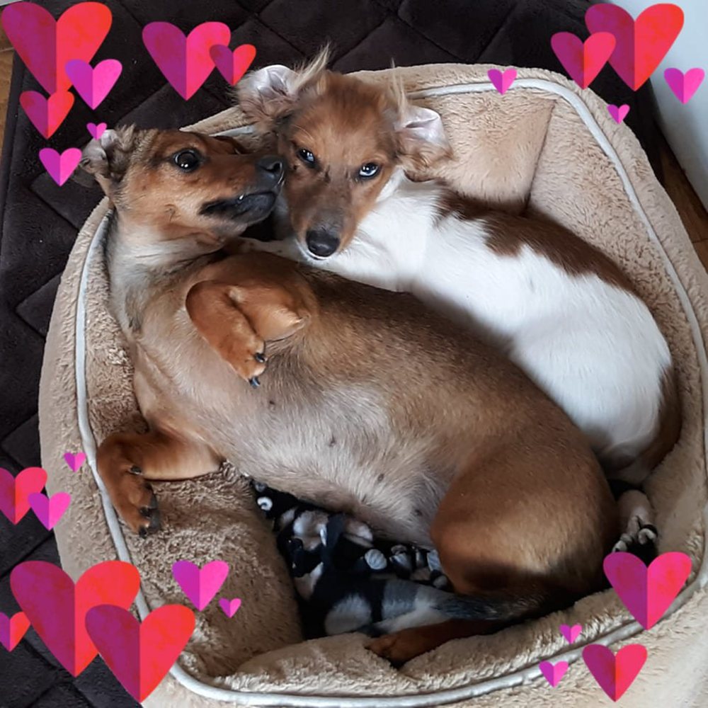 Meet your Posher, Kim